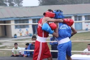 RMS Chail Inter-House Boxing Championship - 2015