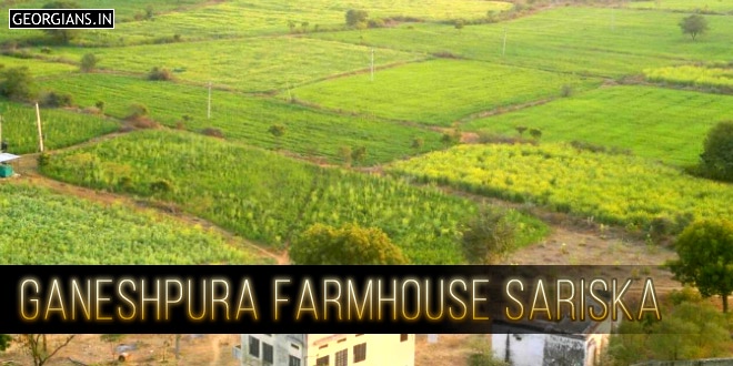 Ganeshpura Farmhouse Sariska, Thanagazi, Alwar, Rajasthan