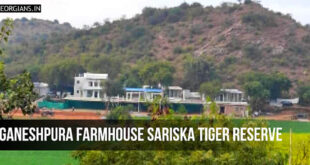 Ganeshpura Farmhouse Sariska Tiger Reserve, Alwar, Rajasthan