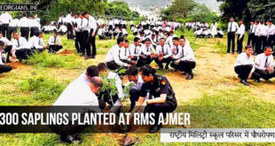 दैनिक भास्कर का 'एक पेड़, एक जिंदगी अभियान' राष्ट्रीय मिलिट्री स्कूल में 300 छायादार-फलदार पौधे रोपे